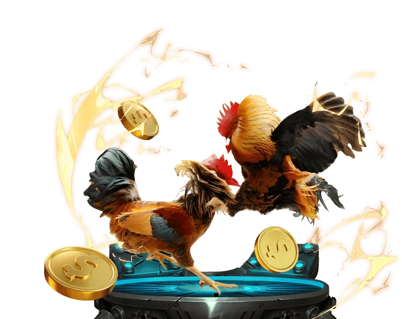 Hoàn trả hàng ngày/tuần ibet889 không giới hạn